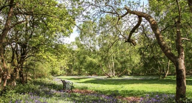 Relaxing Spirutual Retreat in the country