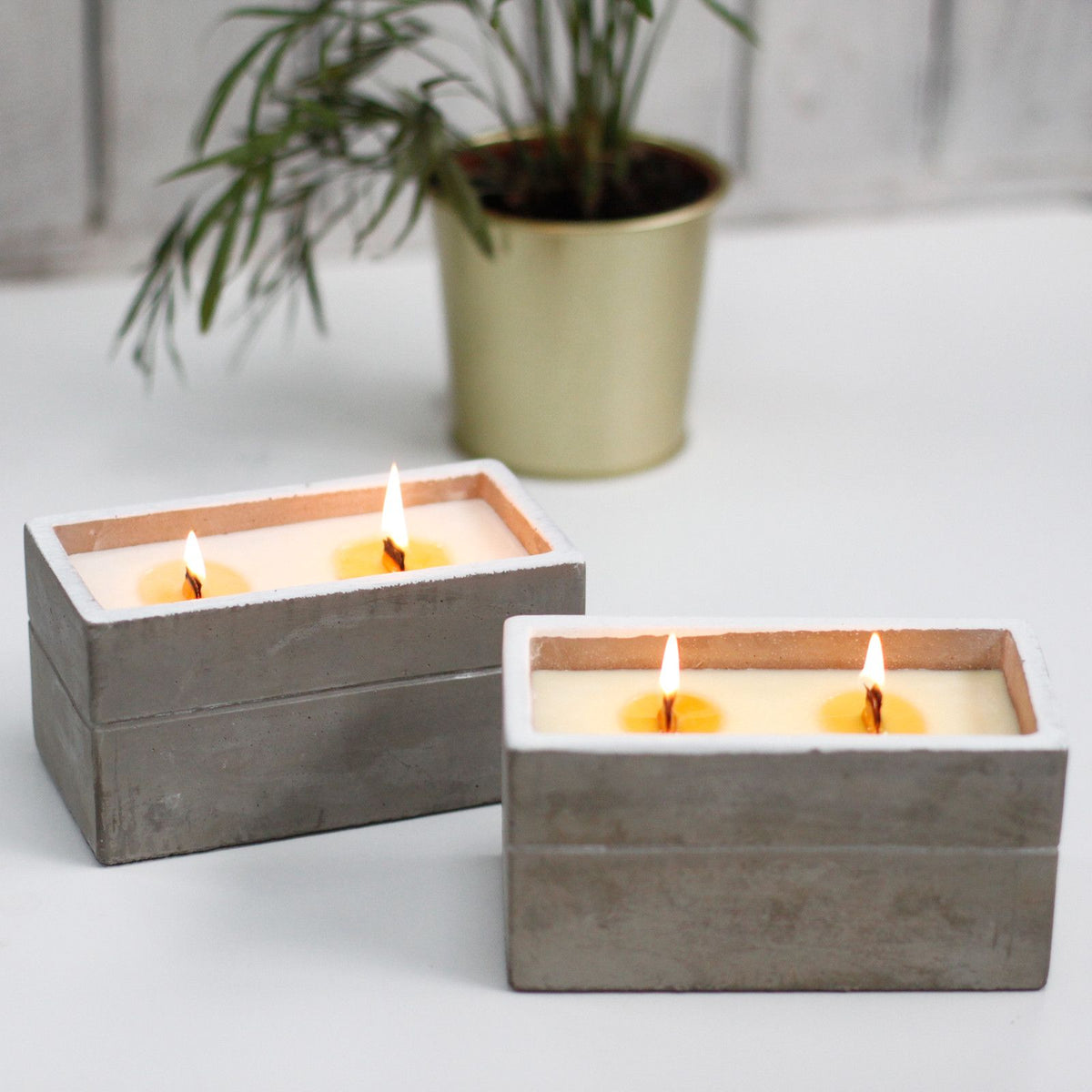 Two concrete candle holders with burning candles on a light surface, with a plant in the background.