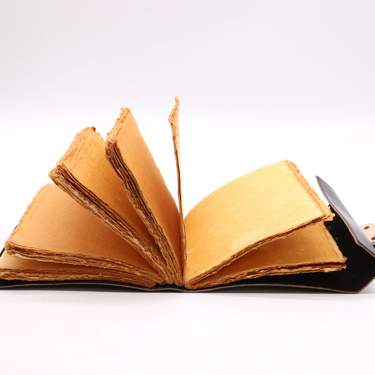 An open Leather bound book