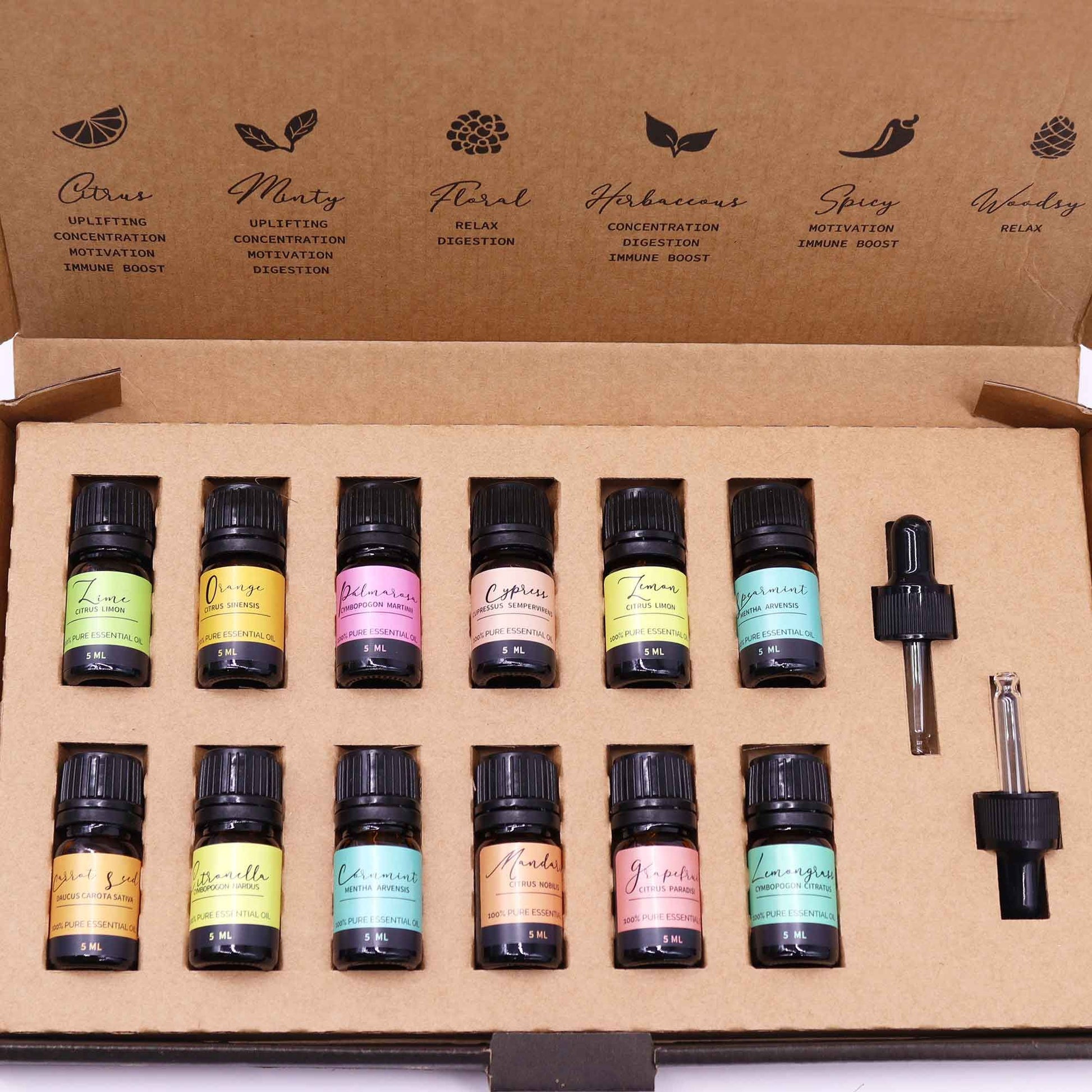 Set of essential oil bottles with labels in a cardboard box