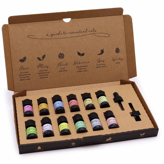 Set of essential oil bottles in a cardboard box with labels on a white background