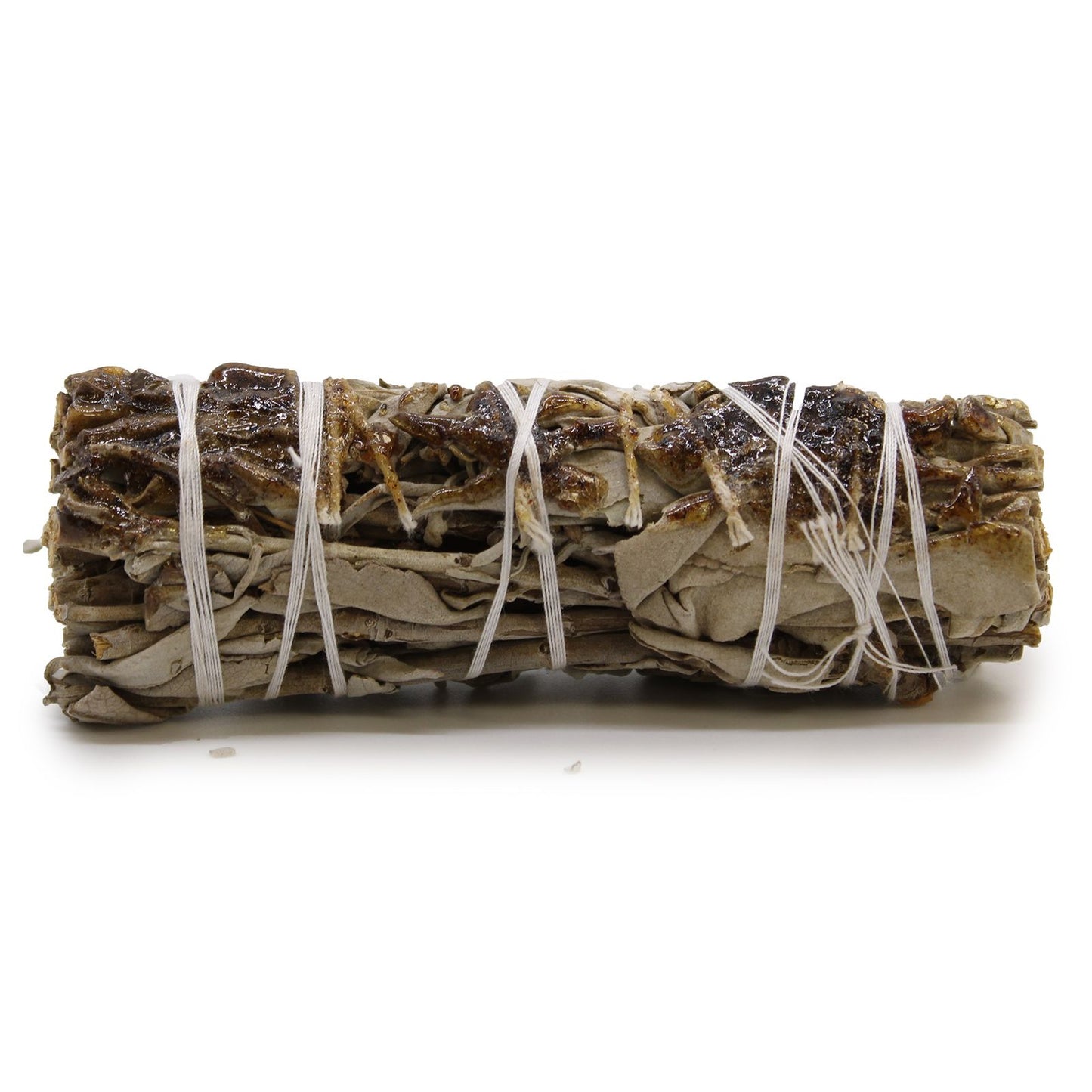 A smudge stick bundle of sage leaves tied together, traditionally used in rituals of purification and cleansing, fragranced with Copal