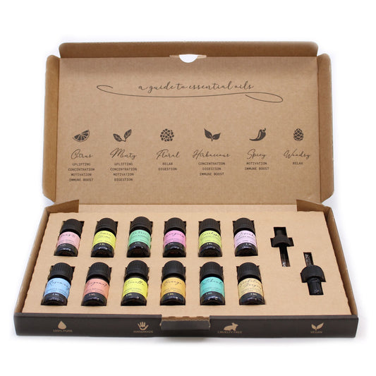 Set of essential oil bottles in a cardboard box with labels on a white background