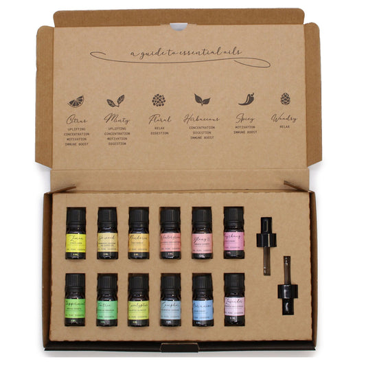 Essential oil set with bottles and a guide on a white background