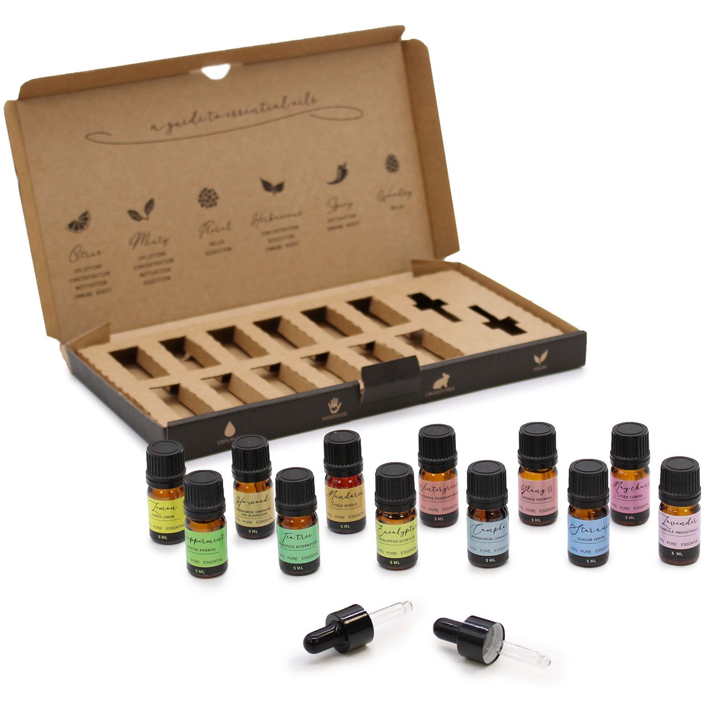 Set of essential oil bottles with a cardboard display box on a white background